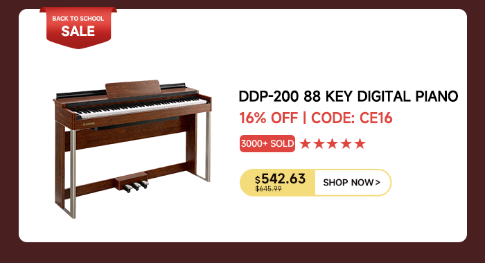 DDP-200 88 Key Weighted Upright Digital Piano