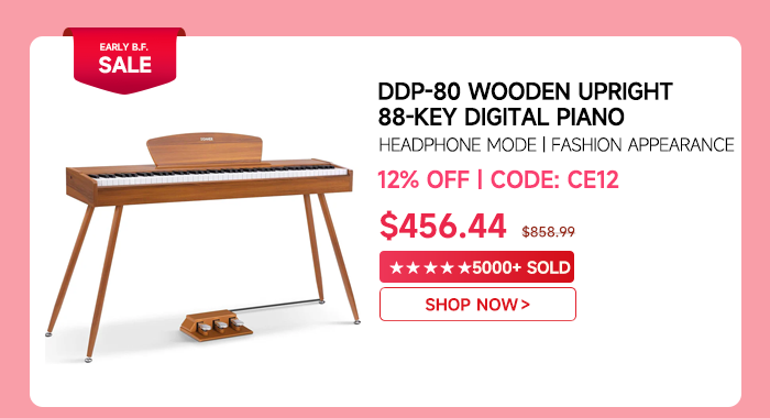 DDP-80 Wooden Beginner 88 Key Weighted Upright Digital Piano