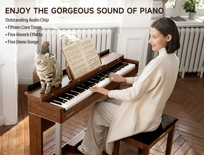 Donner DDP-200 MK2 Piano Digital Vertical