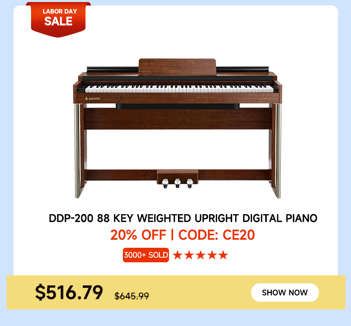 DDP-200 88 Key Weighted Upright Digital Piano
