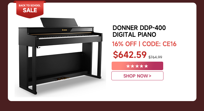 DDP-400 Professional Digital Piano