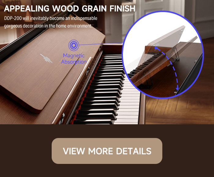 Donner DDP-200 MK2 Piano Digital Vertical