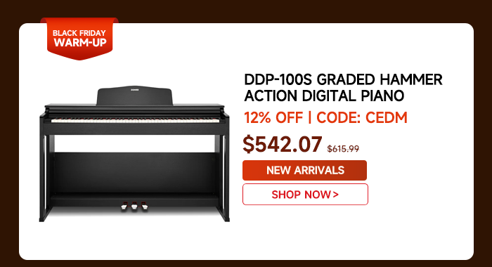 DDP-100S Graded Hammer Action Digital Piano