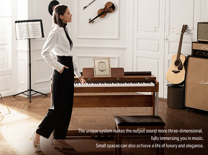 Donner DDP-200 MK2 Piano Digital Vertical